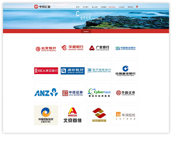 網(wǎng)站建設(shè)案例效果圖