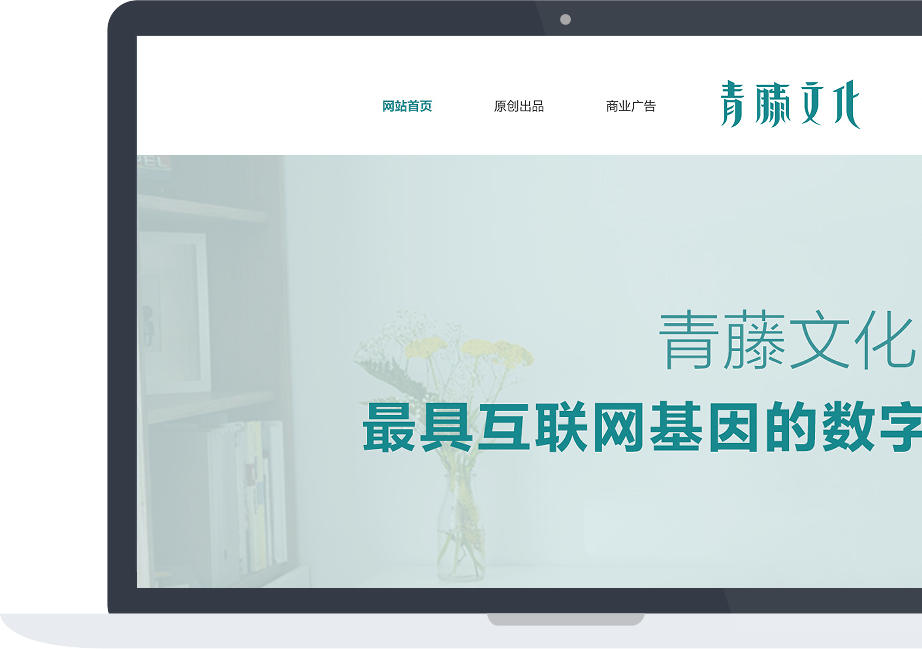 網站建設案例效果圖
